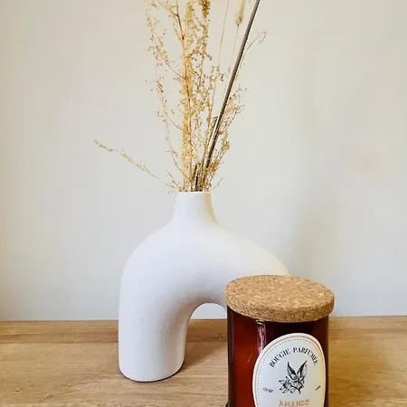 Sublime T3 Havre De Paix Renove Climatise Parking Nice